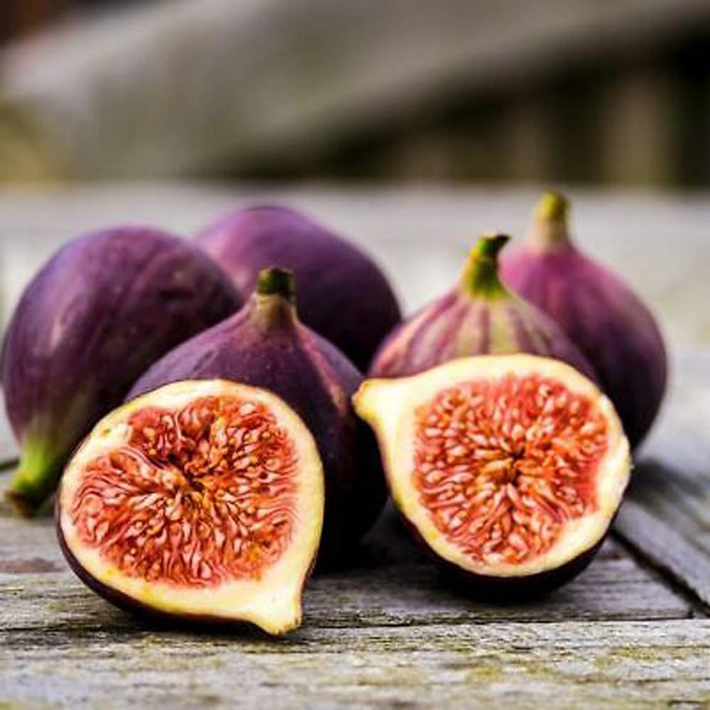 Figs