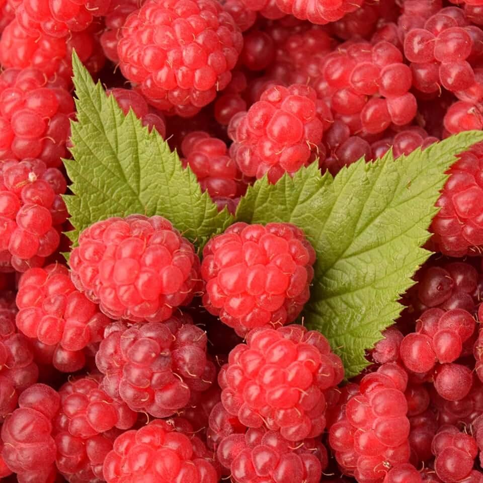 Raspberries